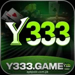 Y333 Game