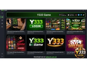 Y333 Game