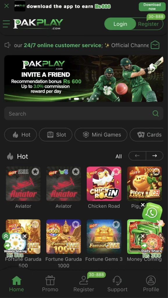 PakPlay